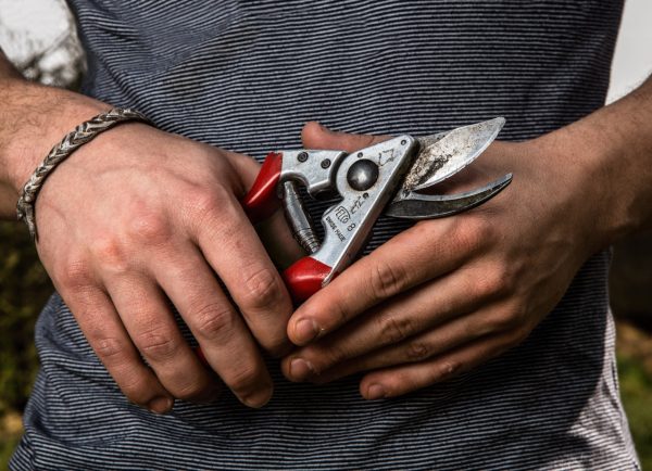 Felco 8 Ψαλίδι κλαδέματος - Image 2